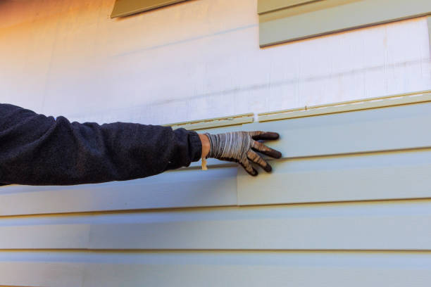 Best Vinyl Siding Installation  in Nocatee, FL